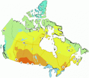 19. Sunny solar Alberta - Green Energy Futures