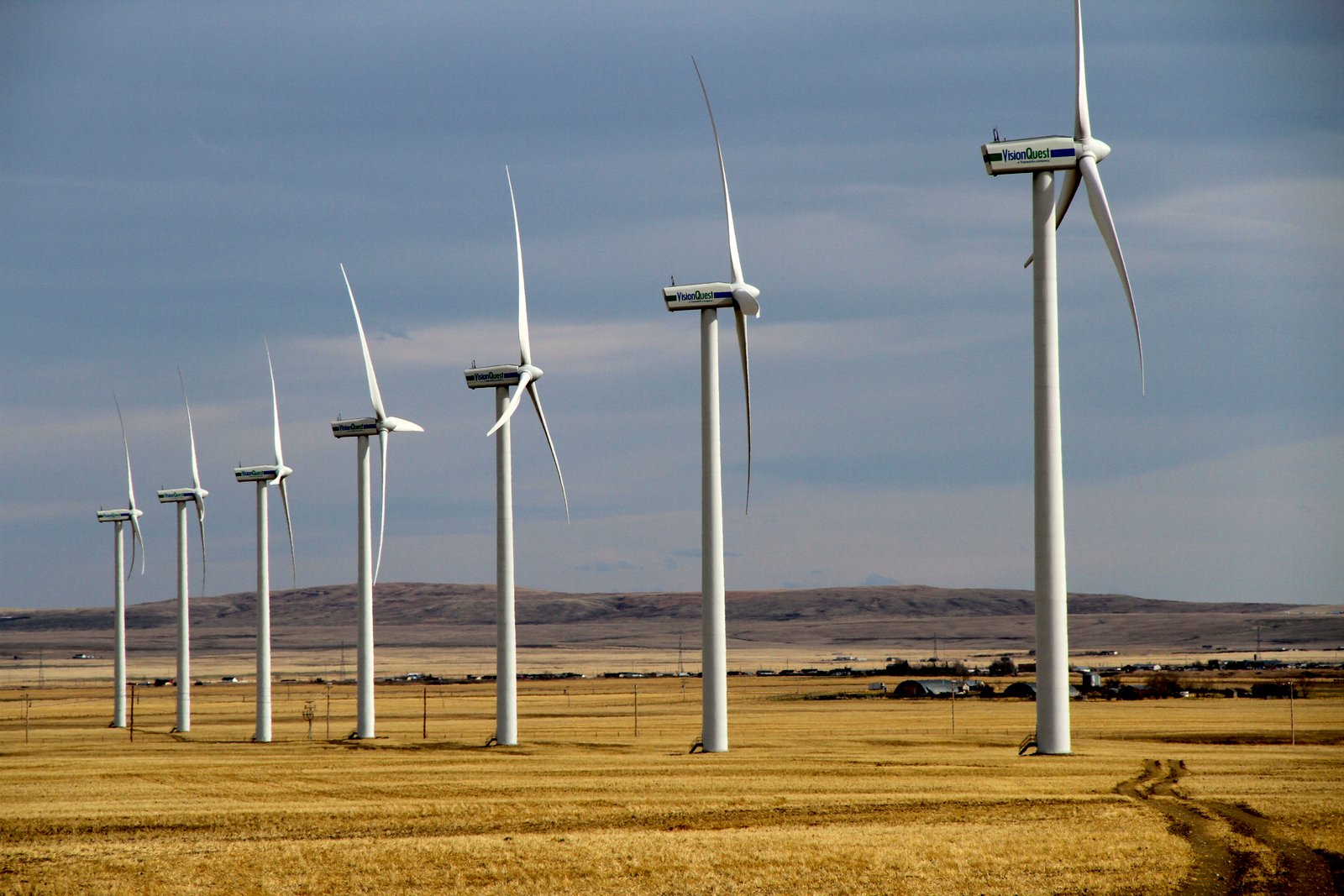 Photo David Dodge, Green Energy Futures Windy Coulee Canadian Horses Ranch, Pincher Creek Alberta