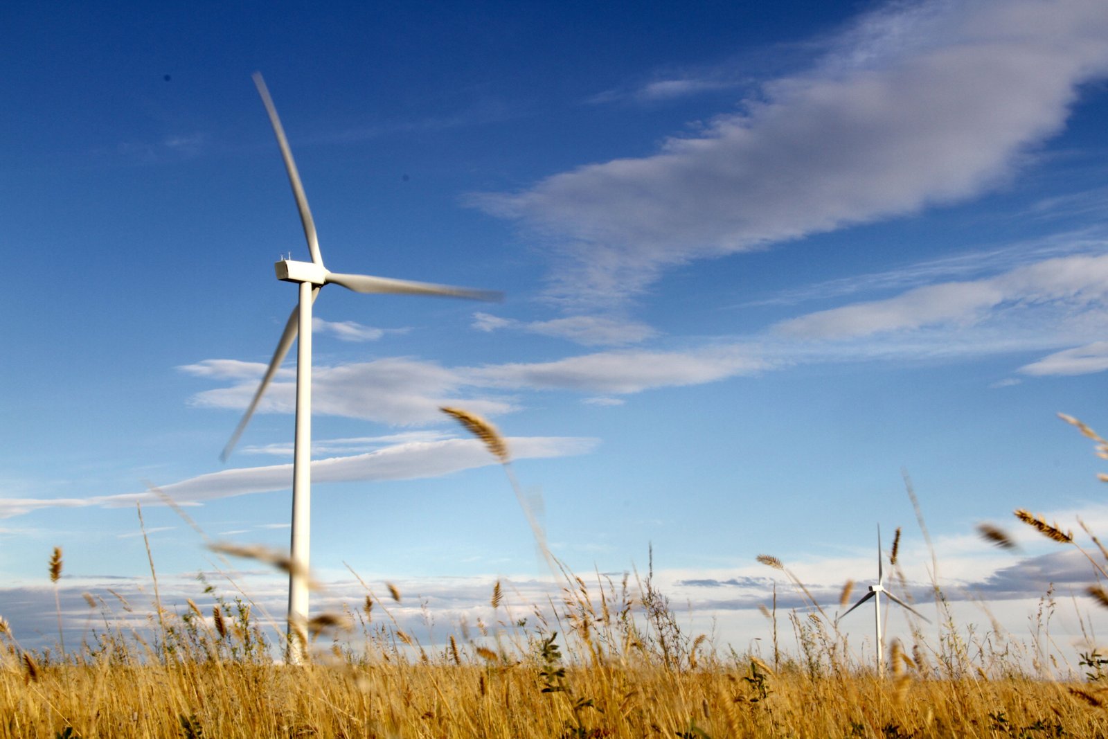 Medicine Hat, Alberta AKA "The Gas City" wanted to diversify into wind power so they entered into a public private partnership with Wind River Power to build a 6 megawatt wind farm, the largest inside a city in Canada. The power purchase agreement is what helped access bank financing from ATB Financial, something that is challenging in Alberta's deregulated electricity market. Since Alberta needs 5-7 gigawatts of new renewable energy by 2030, creating enough price certainty to attract bank financing will be very important in Alberta. Photo David Dodge, GreenEnergyFutures.ca Learn more: https://www.greenenergyfutures.ca/episode/canada-germany-renewable-financing