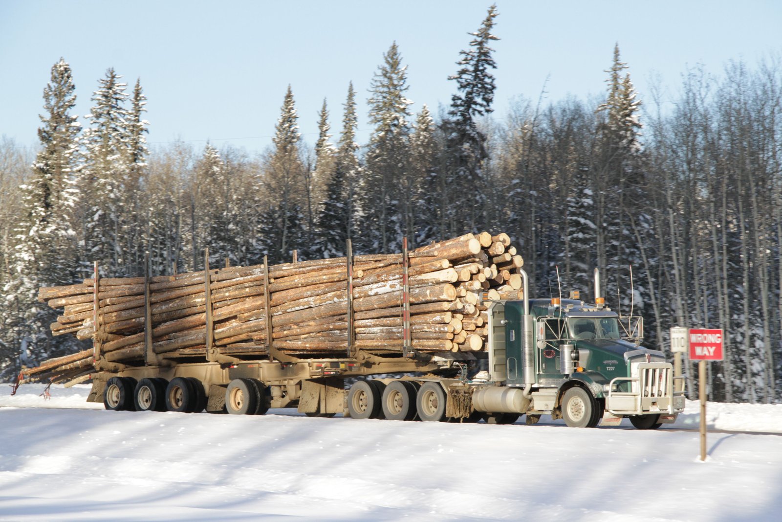 The wood for Millar Western's mills comes from the boreal forest surrounding the Whitecourt area in northern Alberta. Waste from the mills is burned by Whitecourt Power to generate electricity. Photo David Dodge, Green Energy Futures