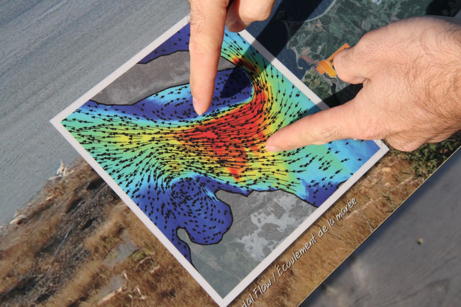 Matthew Lumley shows a figure that illustrates how the coast line pinches in Minas Passage to produce a flood tide that races along more like a river than a tide. Photo David Dodge