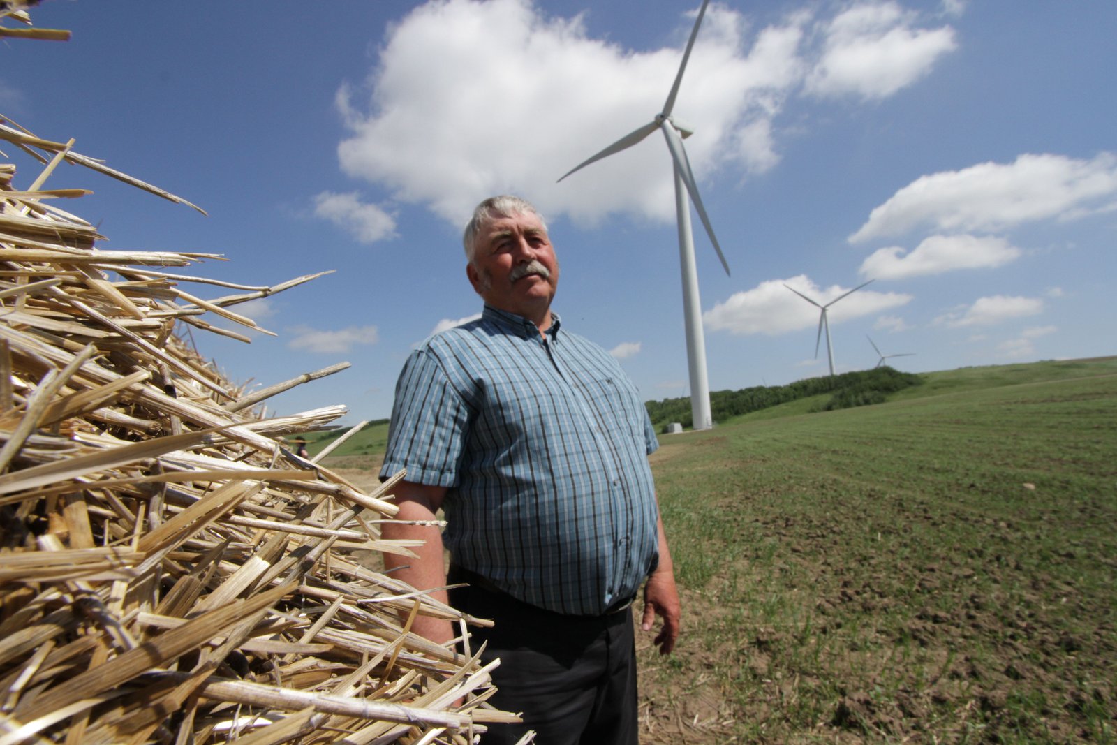 Bull Creek Wind Farm