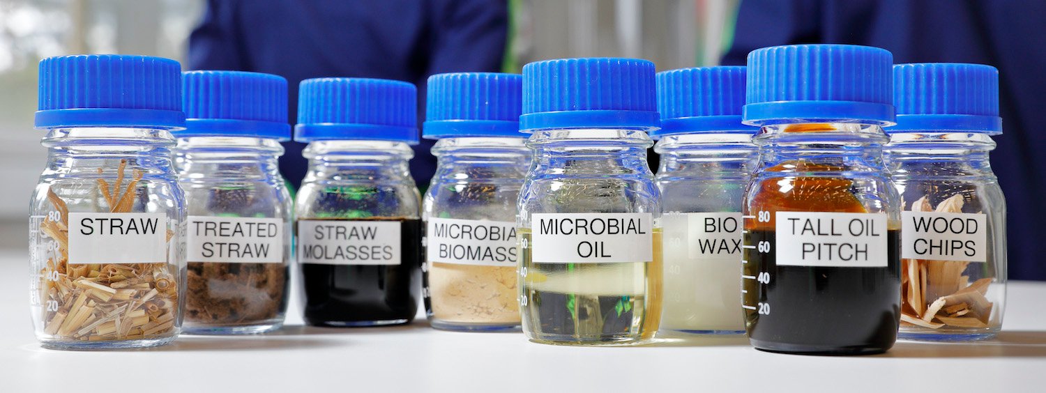 What is used to make biodiesel fuel?