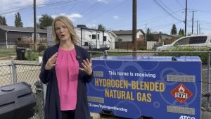 Hydrogen blending testing