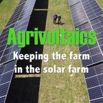 Agrivoltaics - Keeping the farm in the solar farm