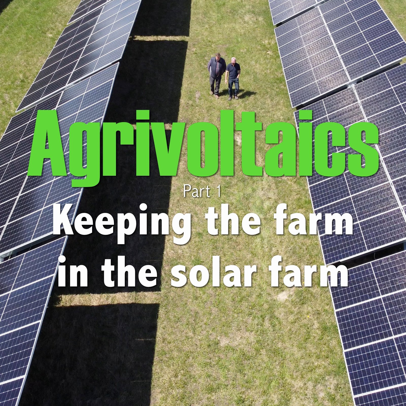 Agrivoltaics - Keeping the farm in the solar farm