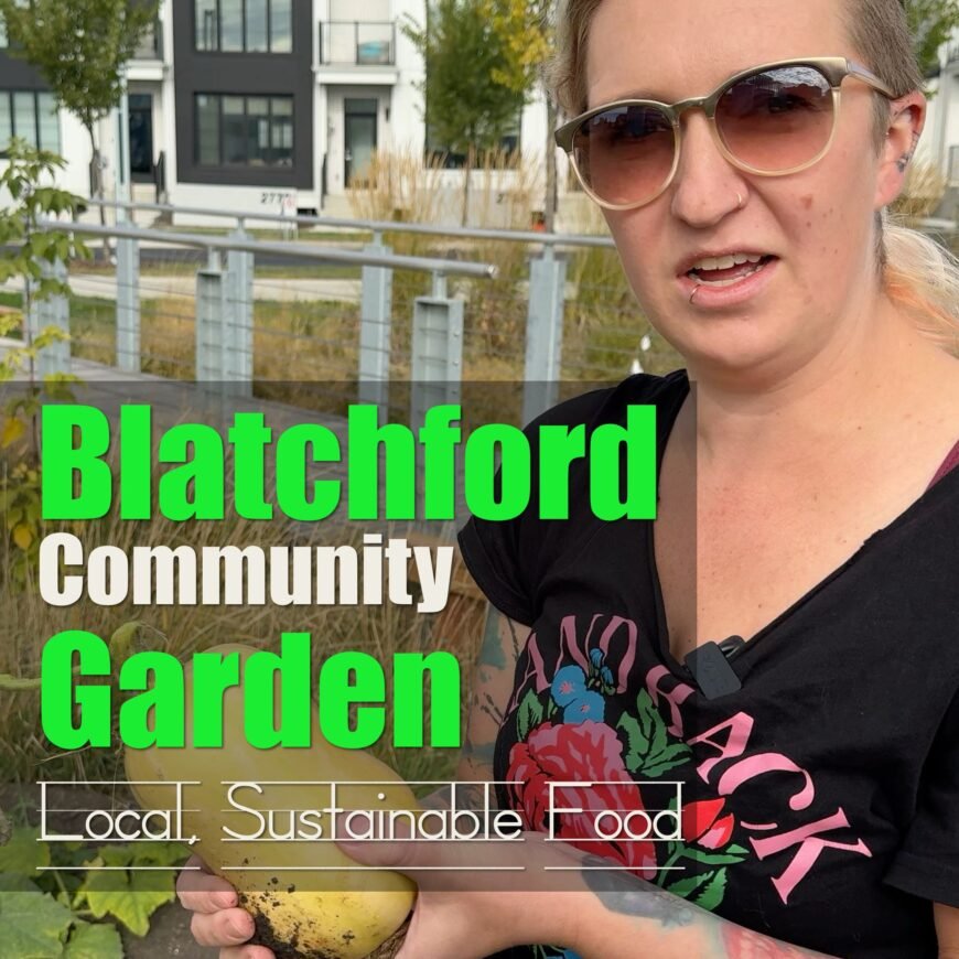 Blatchford Community Garden - local, sustainable food