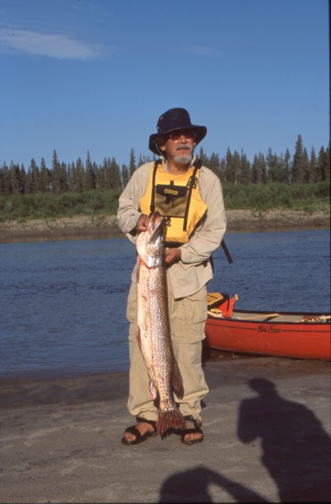 David Suzuki with a northern pike caught where the Firehole River meets the Athabasca.