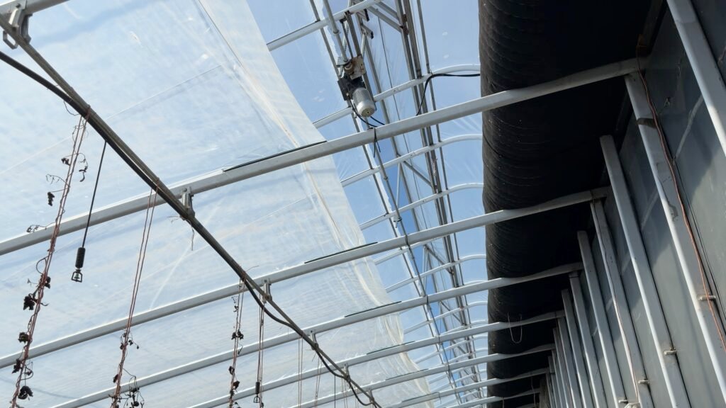 Passive Solar Greenhouse ceiling view inside2